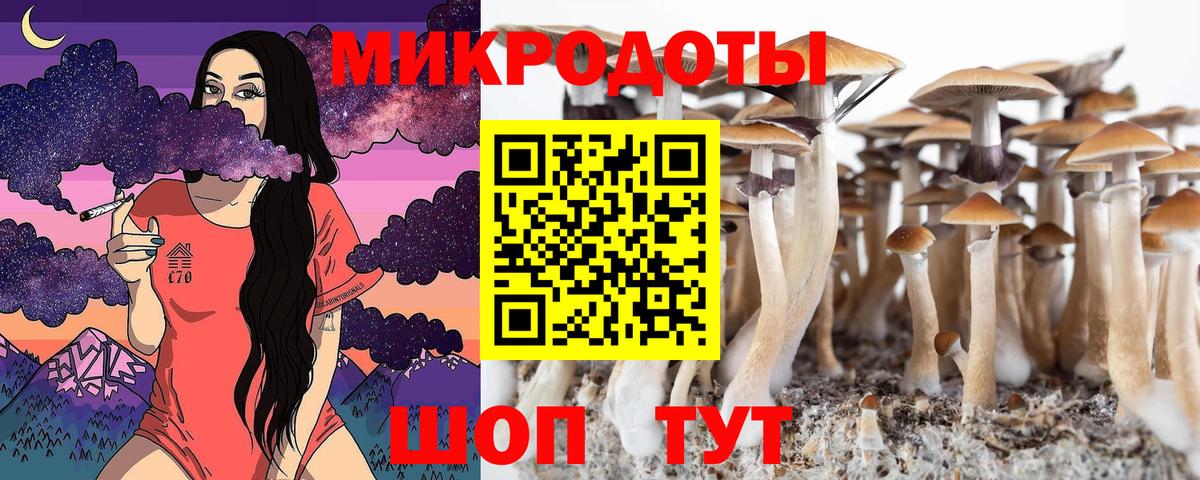 Галлюциногенные грибы Magic Shrooms  Вход с VPN  Галлюциногенные грибы Cubensis  Йошкар-Ола 