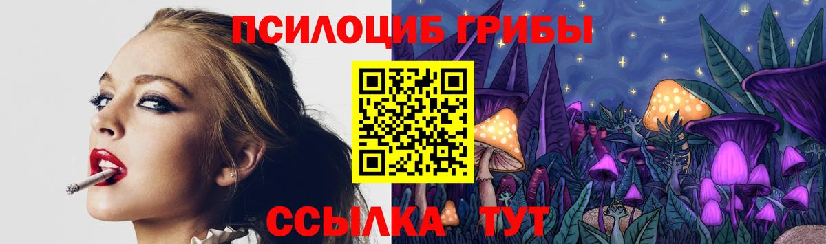 Галлюциногенные грибы GOLDEN TEACHER Йошкар-Ола